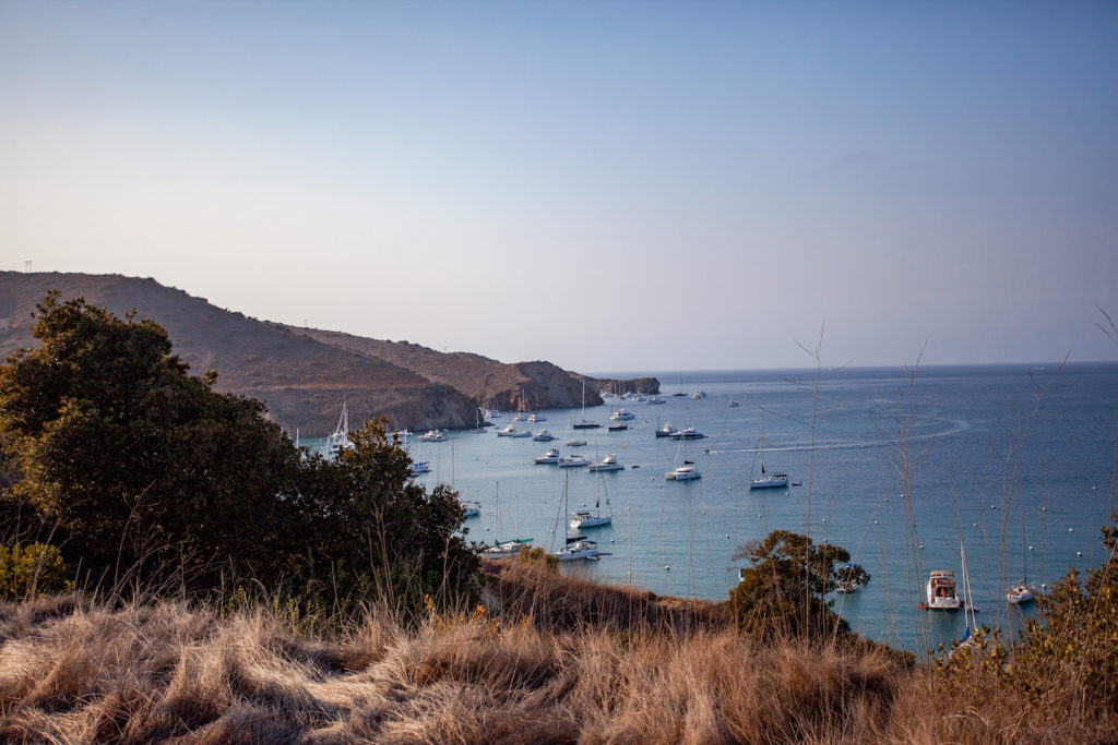 View of Two Harbors on Catalina Island 